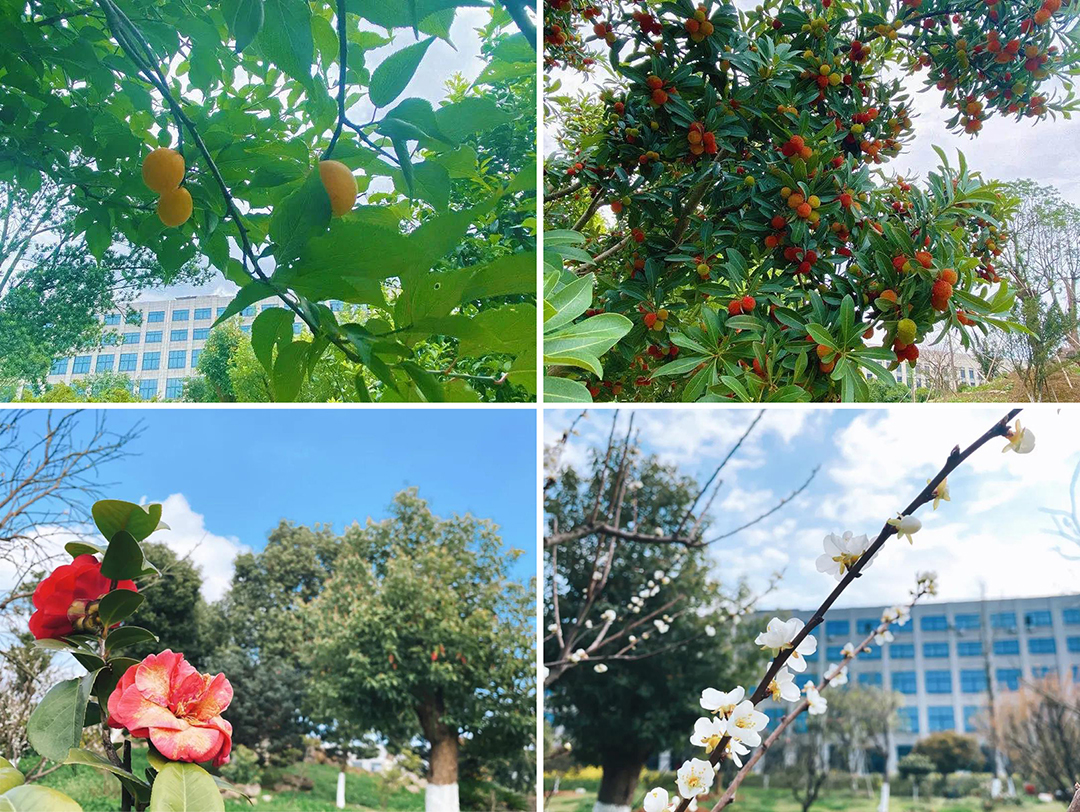 植樹節(jié)|守護(hù)綠色家園的秘密武器!