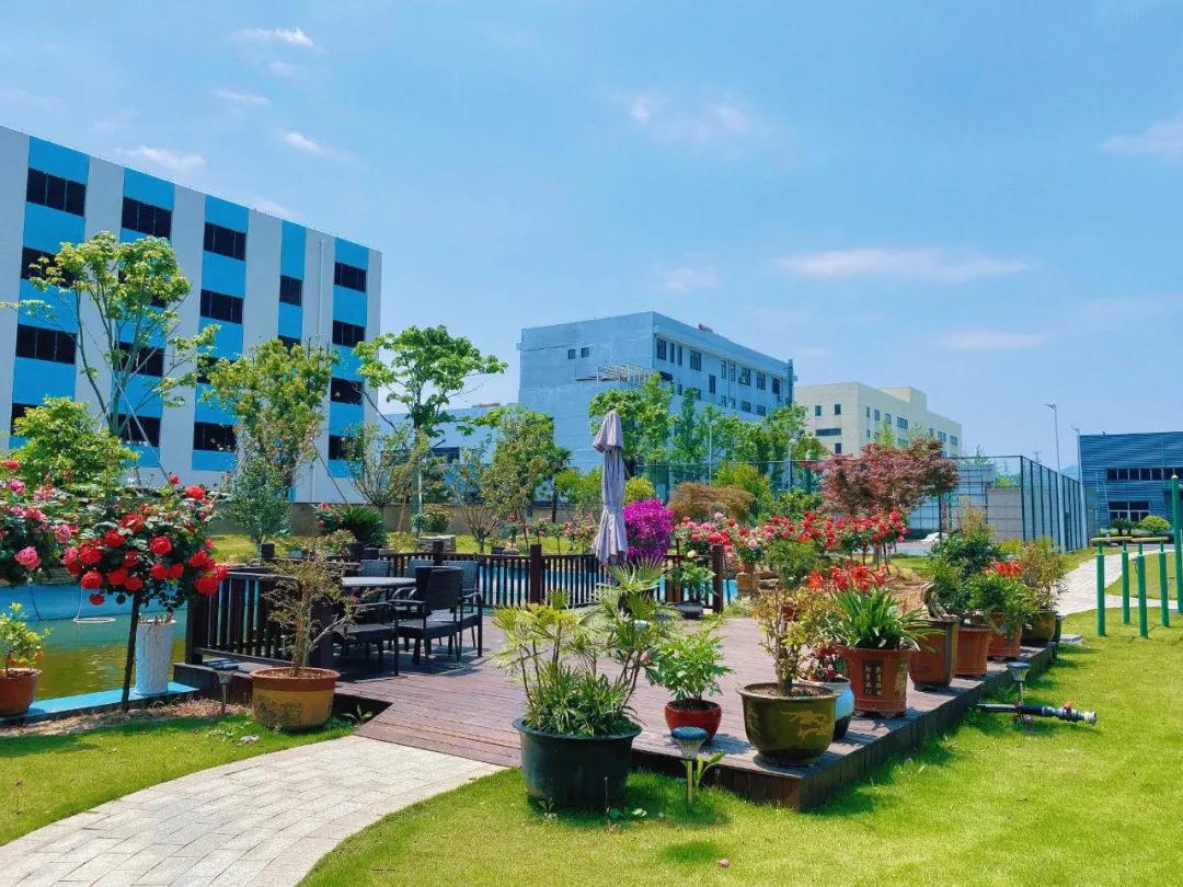 風景這邊獨好！東大環(huán)境美景一覽，請查收