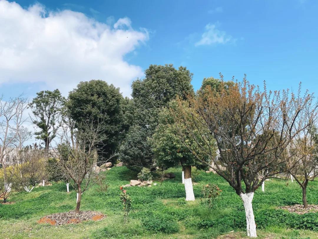 風景這邊獨好！東大環(huán)境美景一覽，請查收