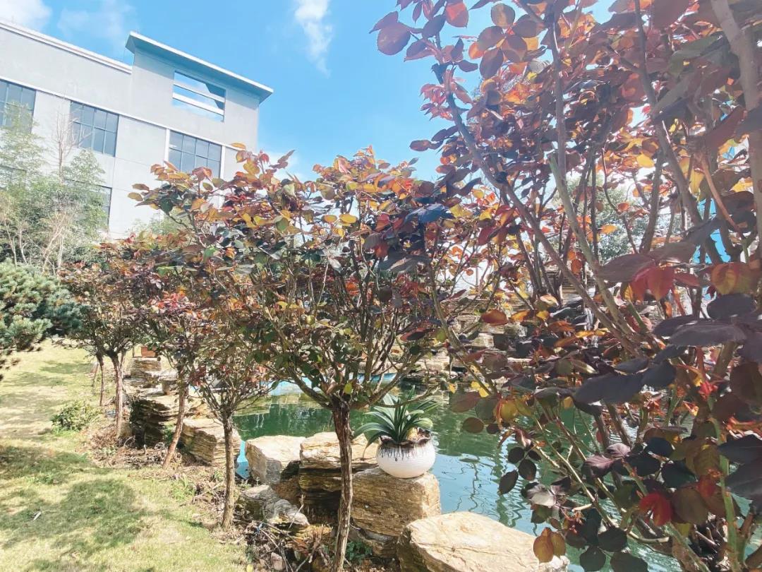 風景這邊獨好！東大環(huán)境美景一覽，請查收